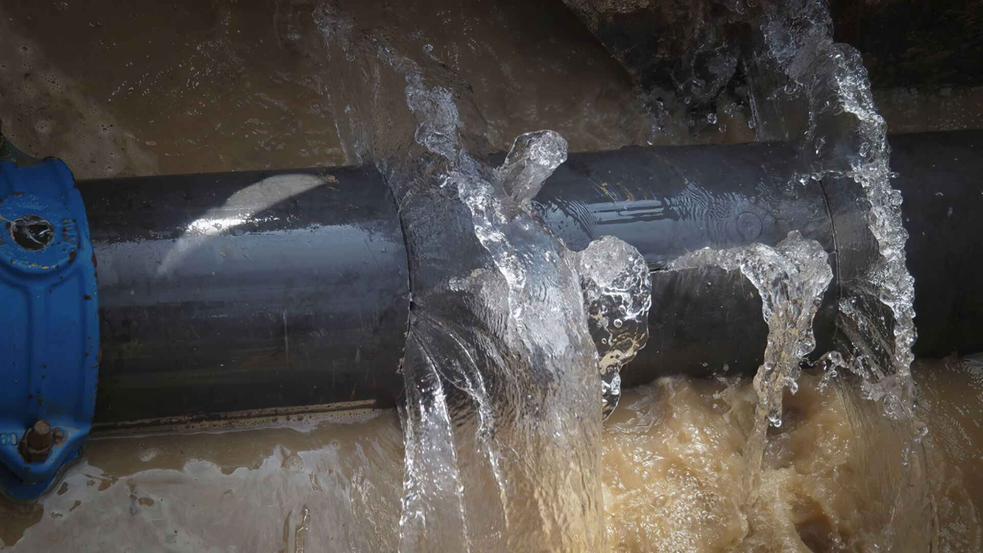 Urgent Drain Service